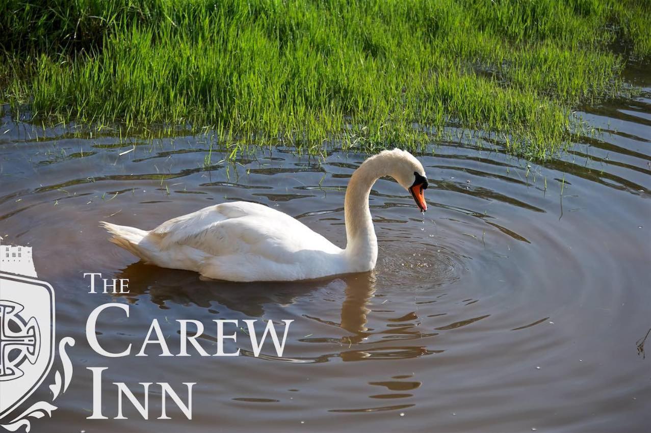 Carew Inn 외부 사진